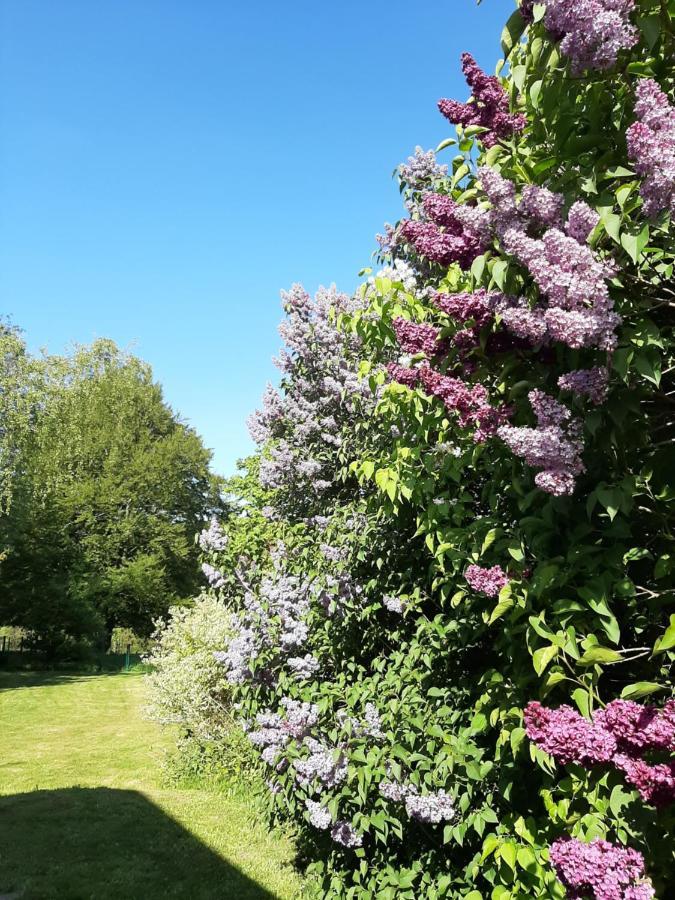 Villa Skylo Winterberg Eksteriør billede