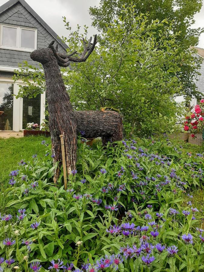 Villa Skylo Winterberg Eksteriør billede