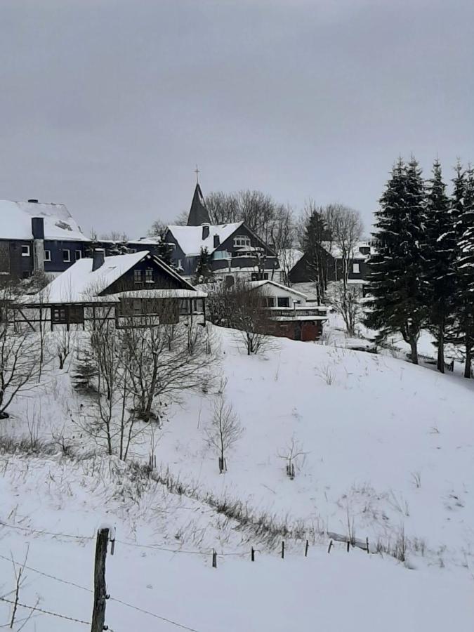 Villa Skylo Winterberg Eksteriør billede