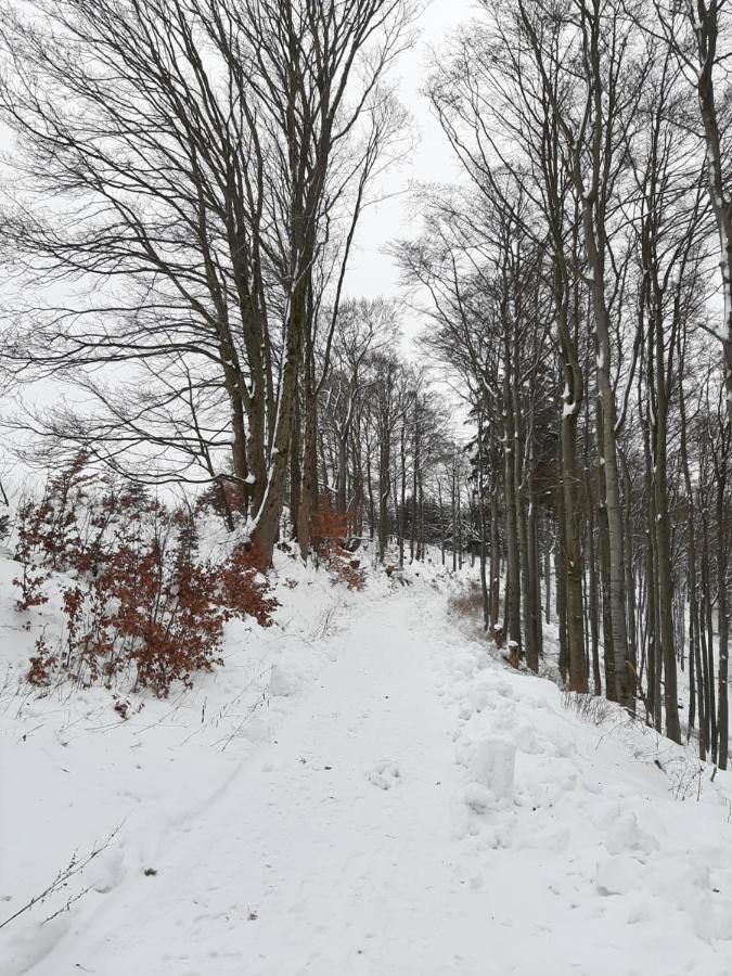 Villa Skylo Winterberg Eksteriør billede