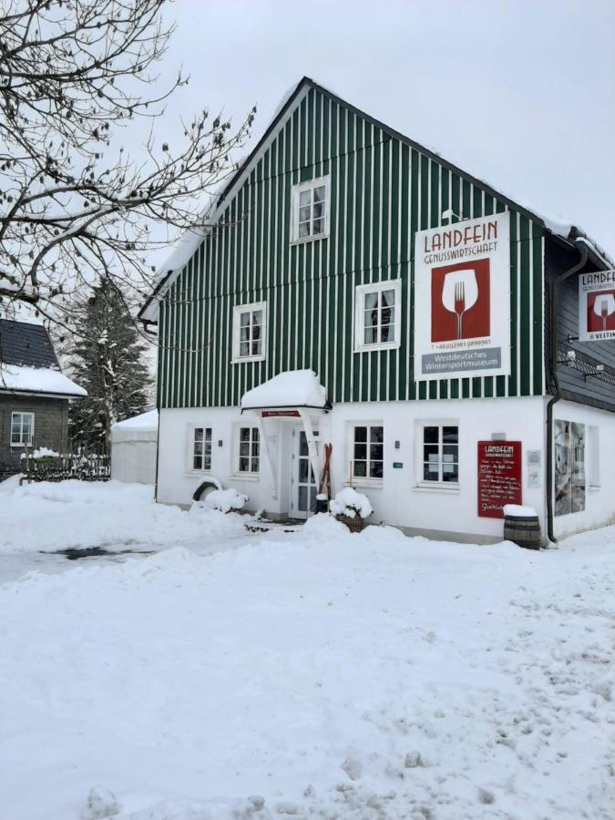 Villa Skylo Winterberg Eksteriør billede