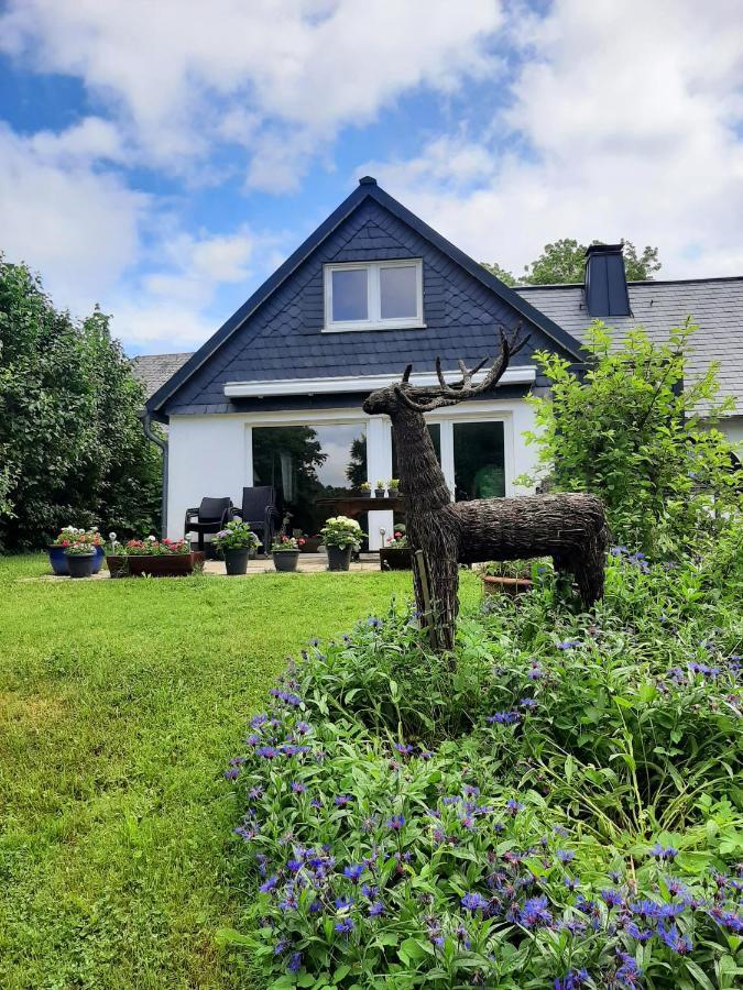 Villa Skylo Winterberg Eksteriør billede