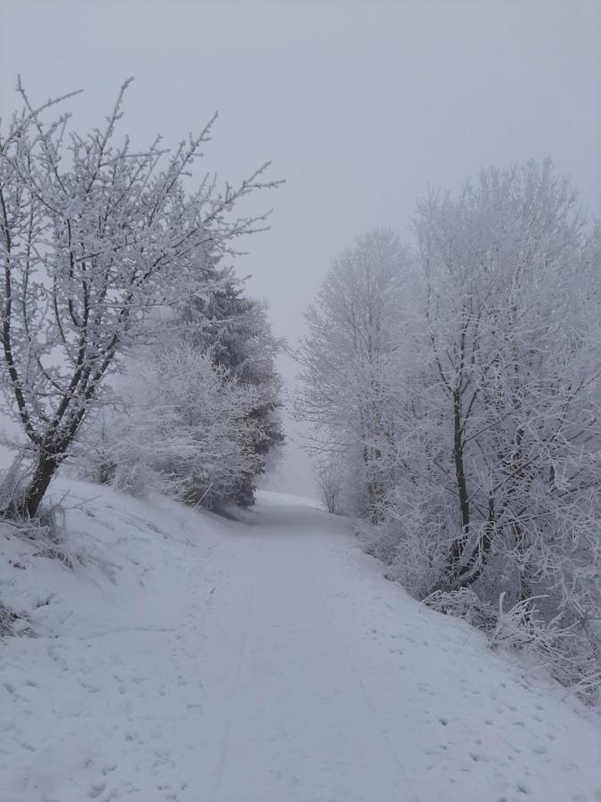 Villa Skylo Winterberg Eksteriør billede