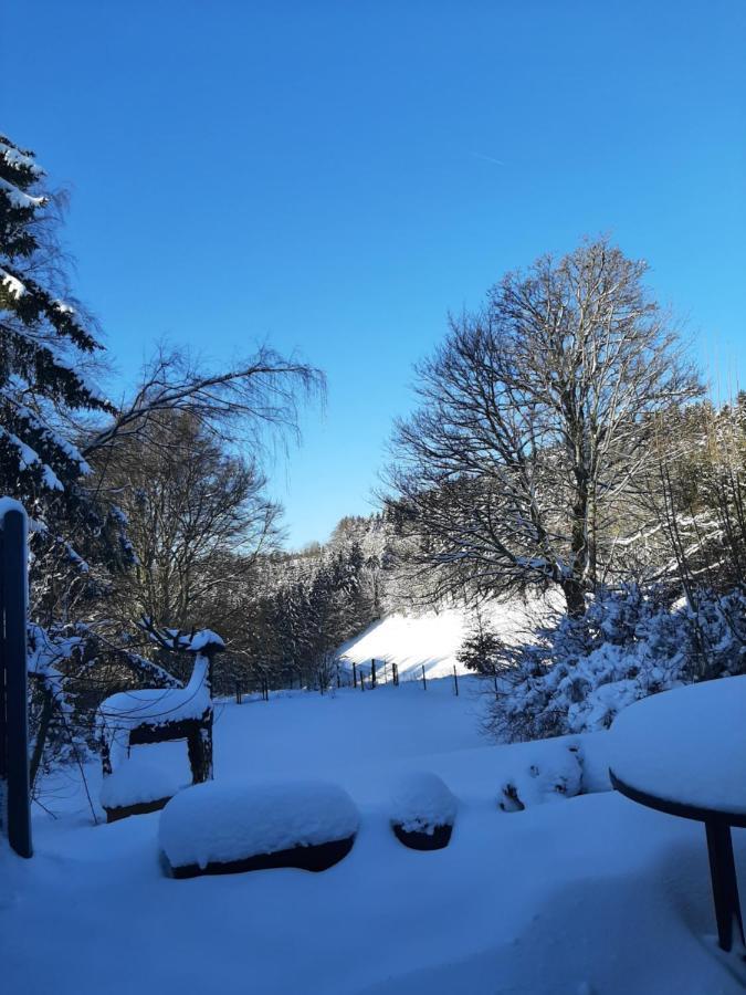 Villa Skylo Winterberg Eksteriør billede