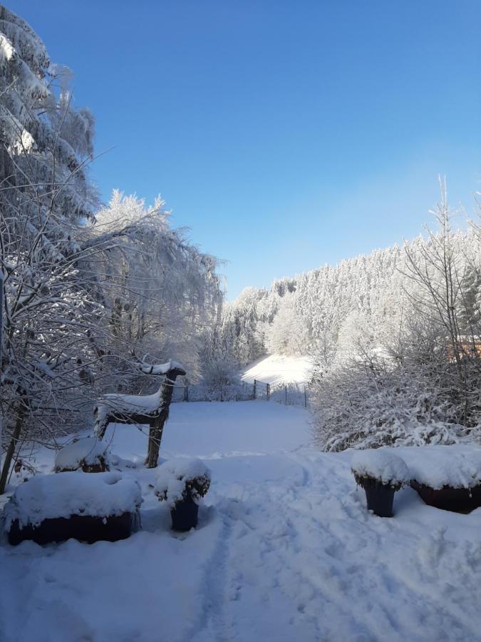 Villa Skylo Winterberg Eksteriør billede