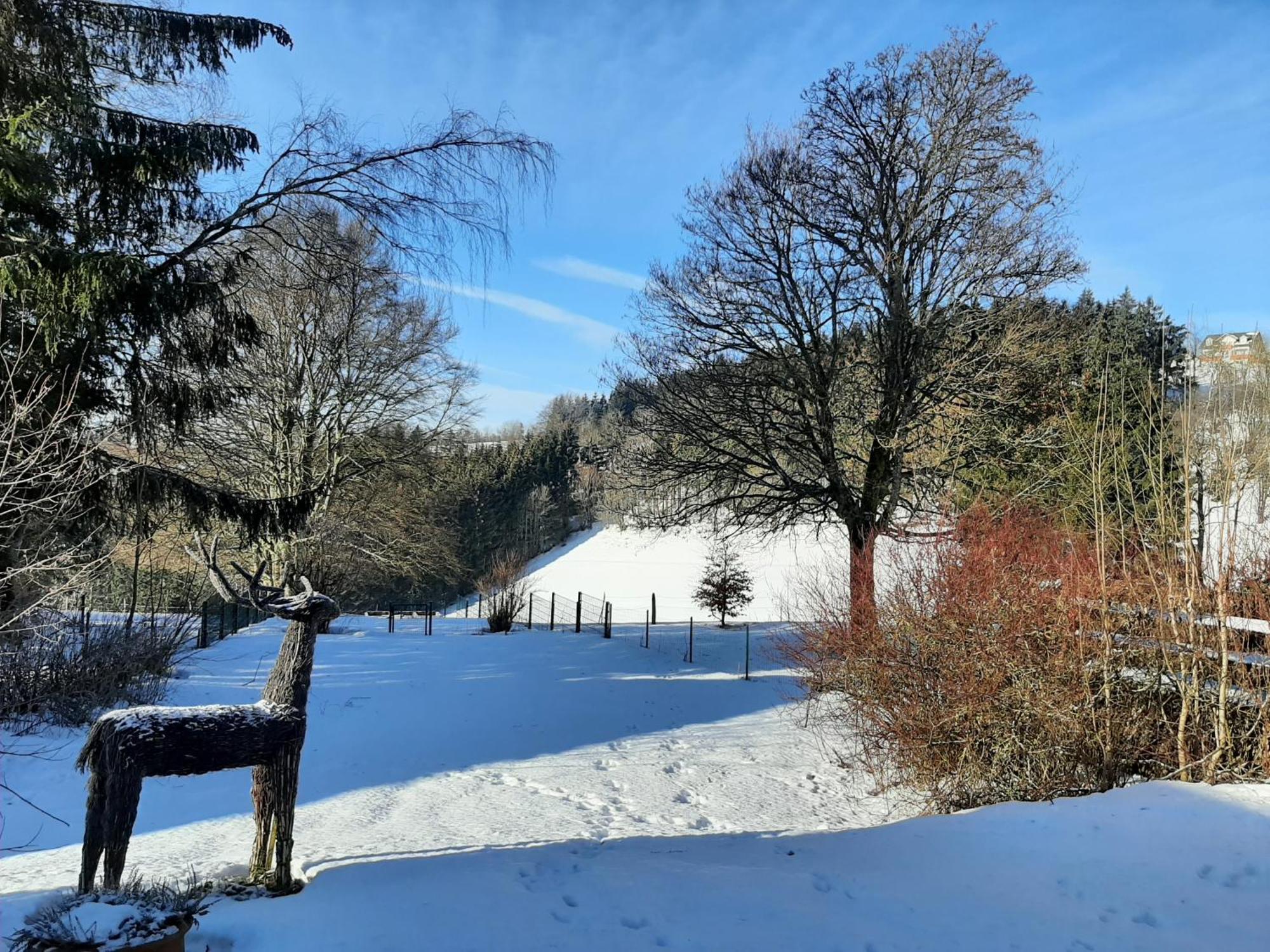 Villa Skylo Winterberg Værelse billede